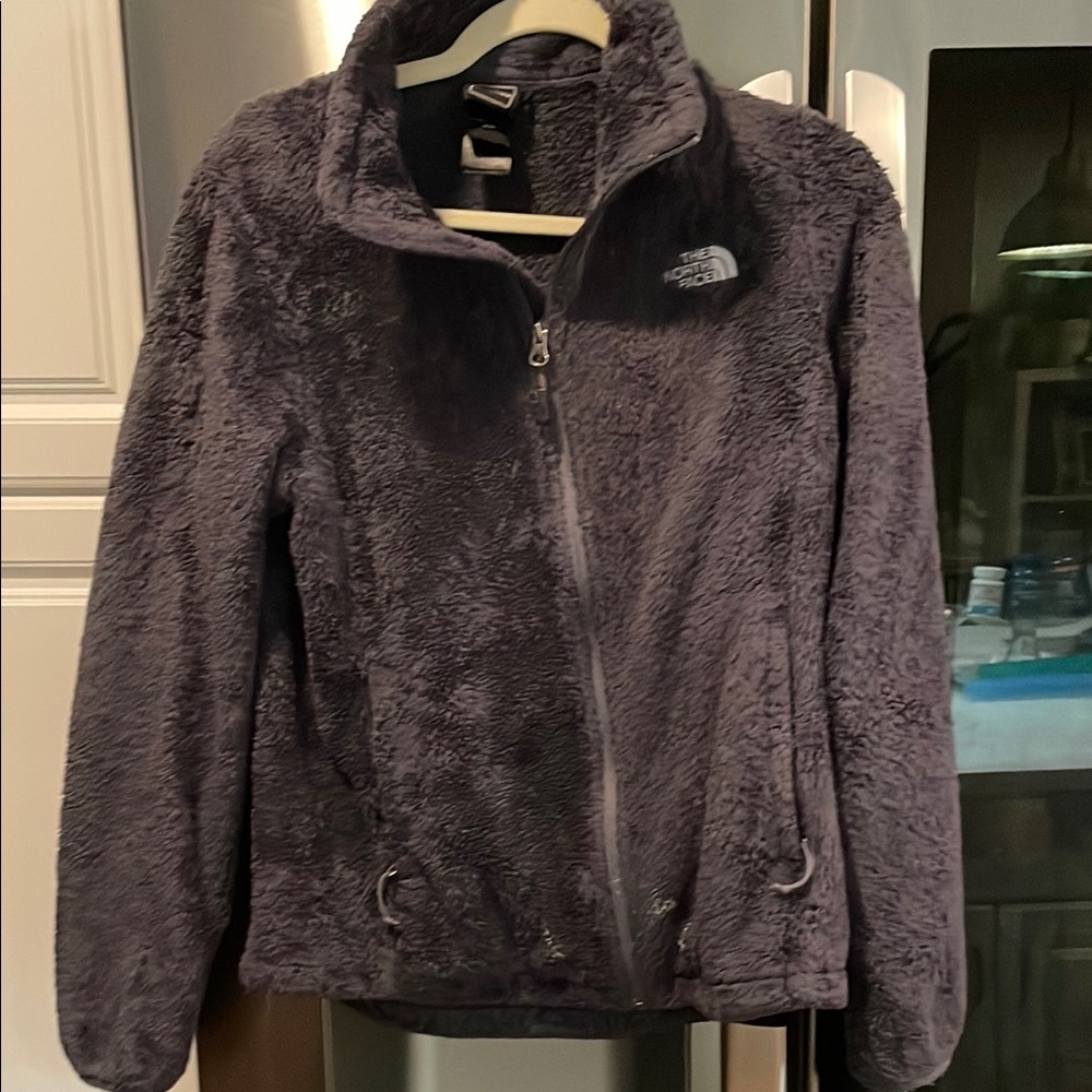 The North Face Gray Teddy Jacket with Soft Texture and High Collar